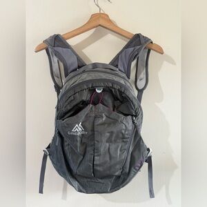 Gregory Charcoal and Purple Backpack